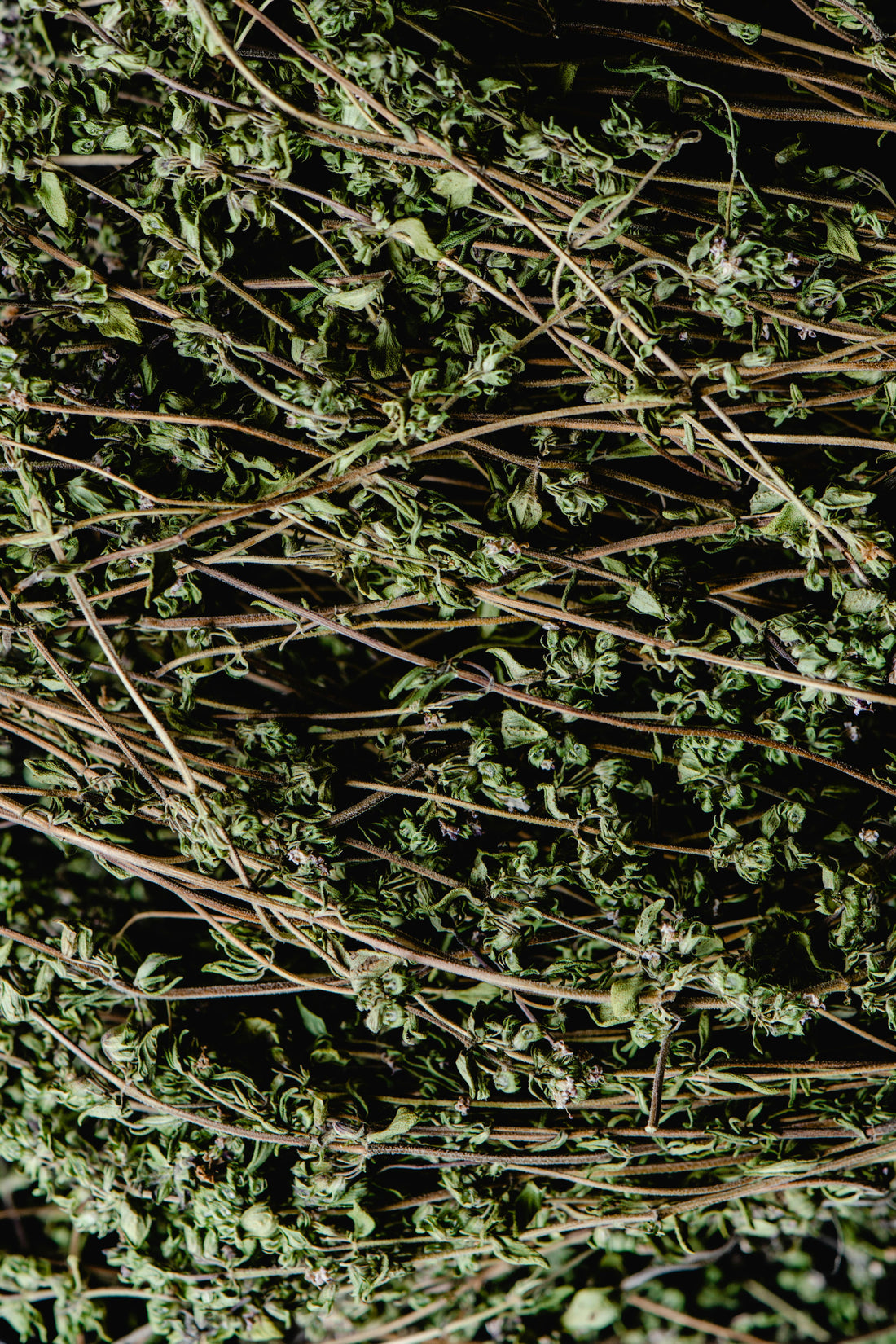 All About Aromatic Fragrances