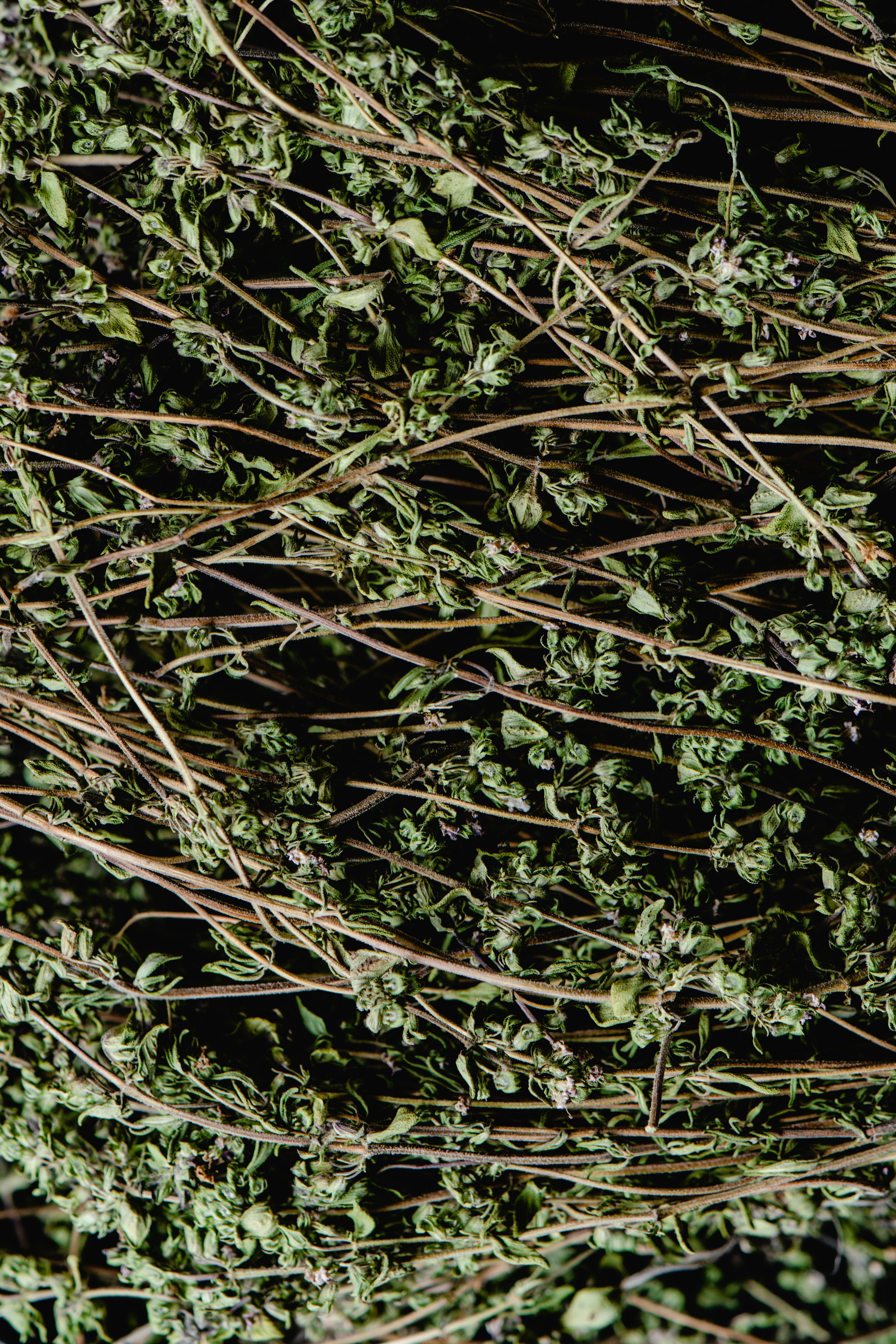 All About Aromatic Fragrances